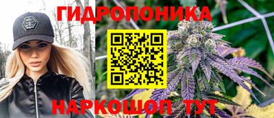 стаф Можга