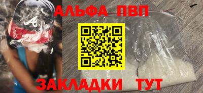 стаф Можга