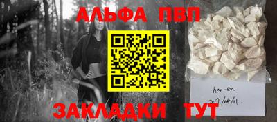 стаф Можга