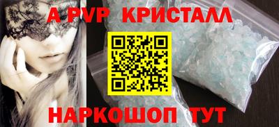 стаф Можга
